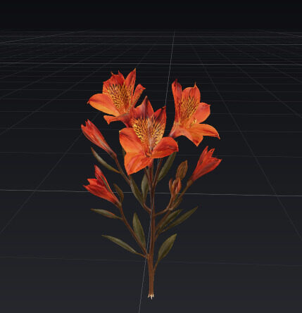 WhatsApp Image 2025-09-11 at 16.41.39