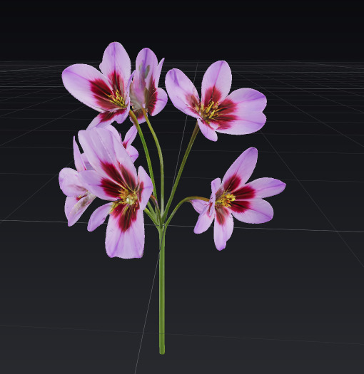 WhatsApp Image 2025-09-11 at 16.41.40 (1)